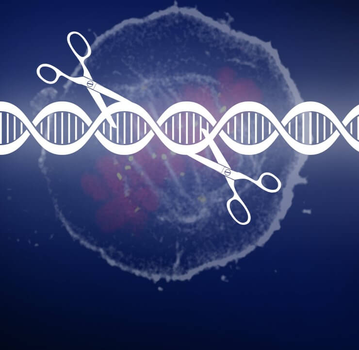 CRISPR_Cancer_HeroArt